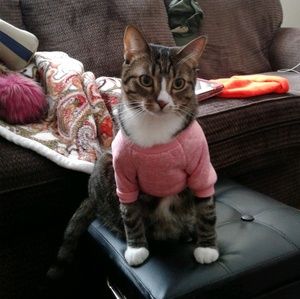 Meet your Posher, Maureen